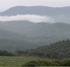 한국등산·트레킹지원센터, 국가숲길 대관령숲길 순환코스 완주 인증 프로그램 운영